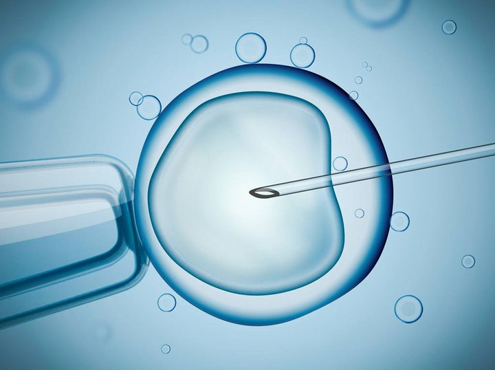 The 9 Best Supplements to Take Before IVF or Egg Freezing | 2nutri | New Zealand