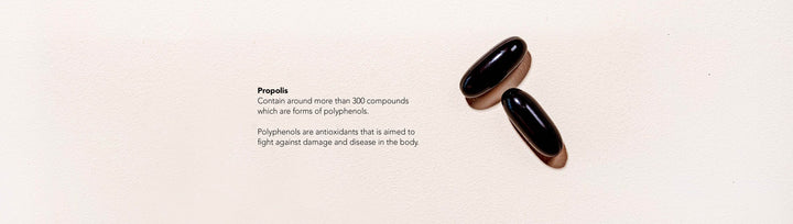 Propolis contain around more than 300 compounds which are forms of polyphenols. Polyphenols are antioxidants that is aimed to fight against damage and disease in the body | 2nutri Propolis 4000