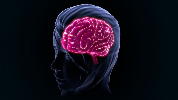 Aphasia: Recognize It, Treat It, And Reclaim Your Life Now By Following These Simple Tips And Recommendations. | 2nutri